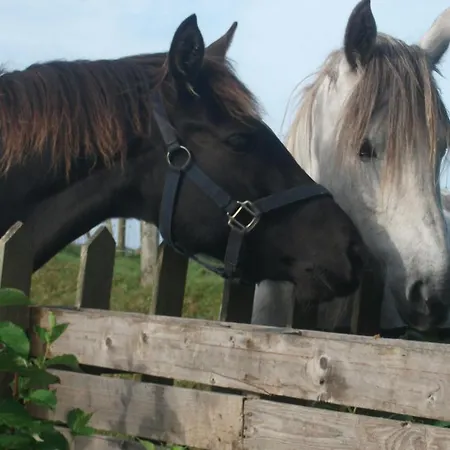 Fuchsia House Connemara