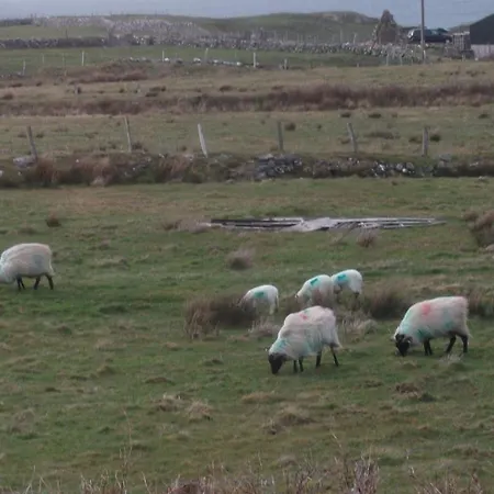 Fuchsia House Connemara Отель типа 