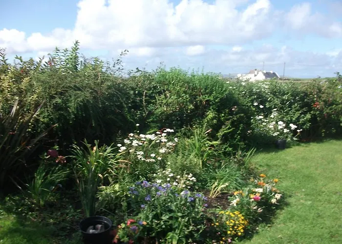 住宿加早餐酒店 康尼马拉夫斯亚住宿加早餐旅馆 伦维尔