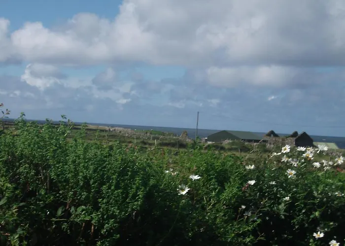 Fuchsia House Connemara ベッド・アンド・ブレックファスト