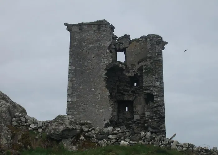 Fuchsia House Connemara