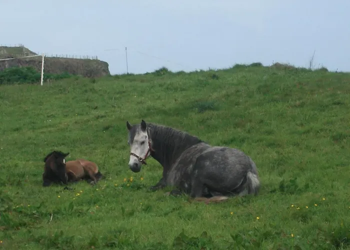 住宿加早餐酒店 康尼马拉夫斯亚住宿加早餐旅馆 伦维尔