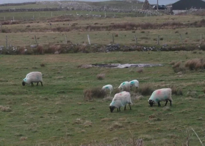 康尼马拉夫斯亚住宿加早餐旅馆 住宿加早餐酒店