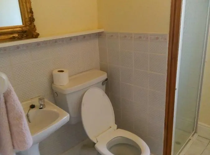 康尼马拉夫斯亚住宿加早餐旅馆 住宿加早餐酒店 *